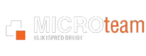 Micro team